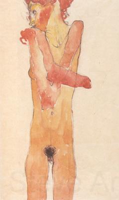 Egon Schiele Nude Girl with Folded Arms (mk12) Spain oil painting art